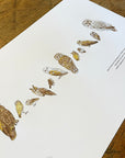 A Few Owls Letterpress Print