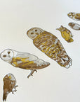 A Few Owls Letterpress Print