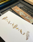 A Few Owls Letterpress Print