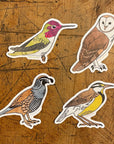 California Quail 3" Sticker