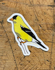 American Goldfinch Bird Sticker