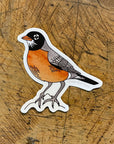 American Robin Bird Sticker