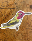 Anna's Hummingbird 3" Sticker