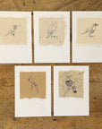 Bird Letterpress Prints on Handmade Paper