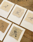 Bird Letterpress Prints on Handmade Paper