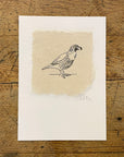 Bird Letterpress Prints on Handmade Paper