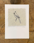Bird Letterpress Prints on Handmade Paper