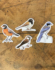  Bird Stickers