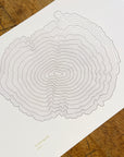 Black Butte Topographic Map Letterpress Print