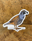 California Quail Bird Sticker