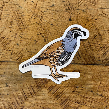 California Quail Bird Sticker