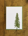 Conifer Letterpress Gift Enclosure Card