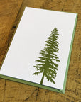 Conifer Letterpress Gift Enclosure Card