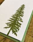 Conifer Letterpress Gift Enclosure Card