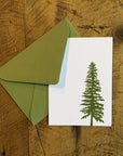 Conifer Letterpress Gift Enclosure Card