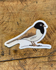 Dark-eyed Junco Bird Sticker