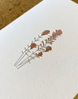 Desert Paintbrush Letterpress Card