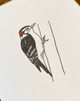 Downy Woodpecker Letterpress Card