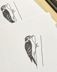 Downy Woodpecker Letterpress Card
