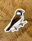 House Sparrow Bird Sticker
