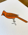 Northern Cardinal Letterpress Card