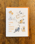 Purrfect Birthday Letterpress Card