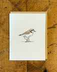 Snowy Plover Letterpress Card