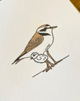 Snowy Plover Letterpress Card