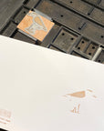 Snowy Plover Letterpress Card
