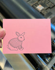 Animal Sweater Letterpress Gift Enclosure Cards - Set of 10
