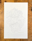 Yosemite National Park Topographic Map Letterpress Print