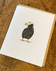 Tufted Puffin Letterpress Card