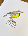 Western Meadowlark Letterpress Card