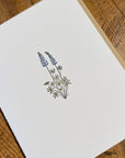 Lupine Wildflower Letterpress Card