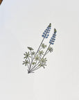 Lupine Wildflower Letterpress Card