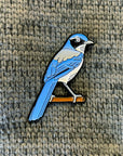 California Scrub Jay Bird Enamel Pin