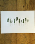 A Few Conifers Letterpress Print