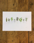 A Few Houseplants Letterpress Print