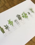 A Few Houseplants Letterpress Print