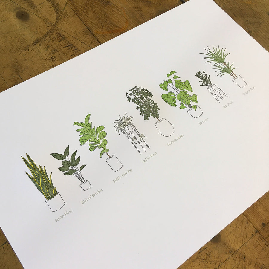 A Few Houseplants Letterpress Print