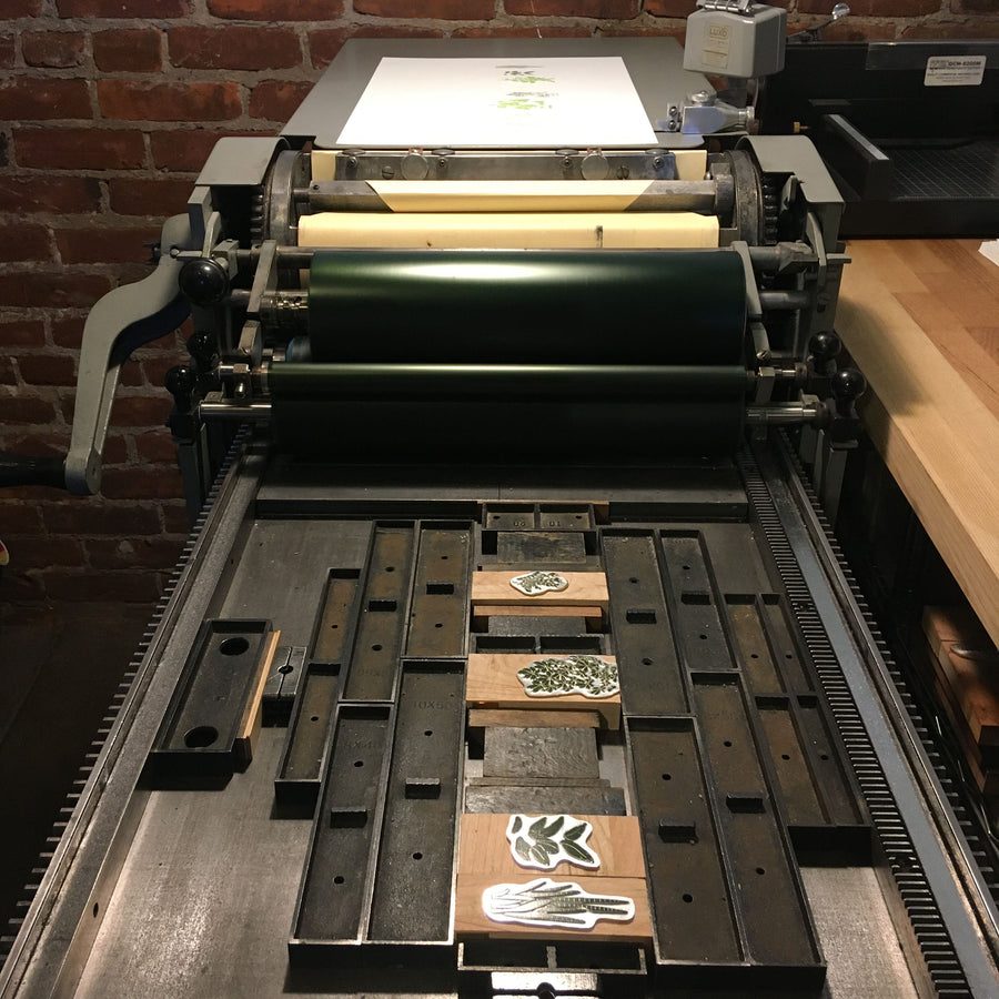 A Few Houseplants Letterpress Print