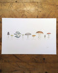 A Few Mushrooms Letterpress Print