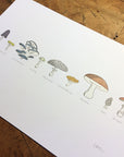 A Few Mushrooms Letterpress Print