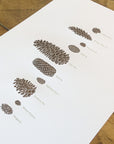 A Few Pine Cones Letterpress Print