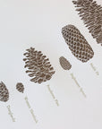 A Few Pine Cones Letterpress Print