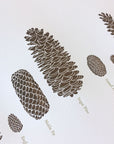 A Few Pine Cones Letterpress Print