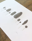 A Few Pine Cones Letterpress Print