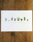 A Few Succulents Letterpress Print
