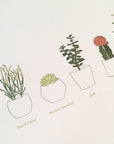 A Few Succulents Letterpress Print