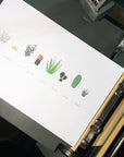 A Few Succulents Letterpress Print